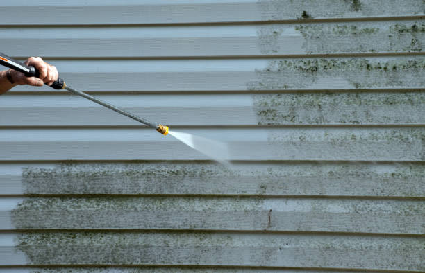 Animal Enclosure Cleaning in Mullens, WV