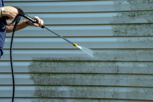 Best Roof Washing  in Mullens, WV