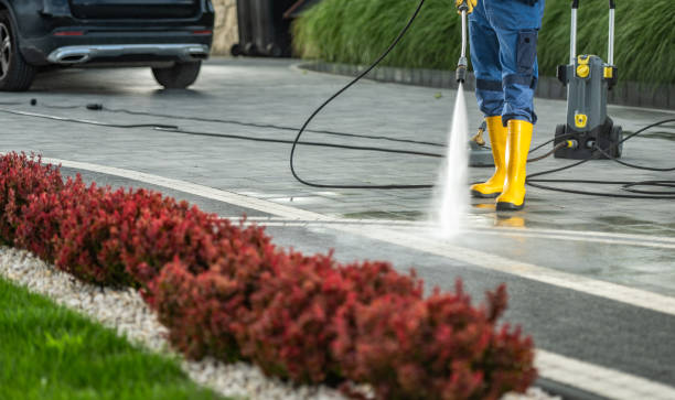Best Driveway Pressure Washing  in Mullens, WV